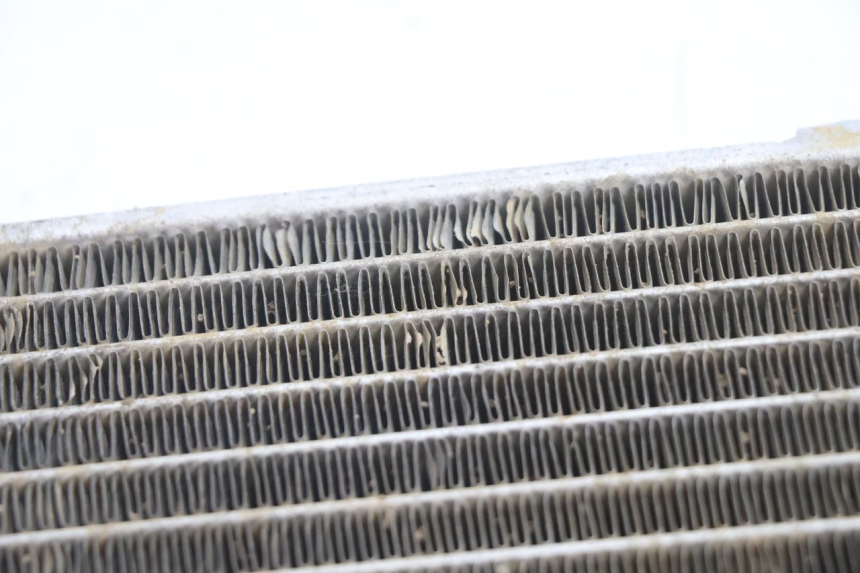 photo de RIGHT COOLANT RADIATOR BOOM TRIKE FUN 500 (2004 - 2010) - Alternative perspective