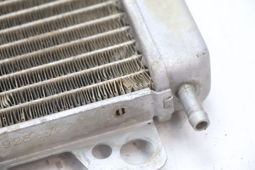photo de RIGHT COOLANT RADIATOR BOOM TRIKE FUN 500 (2004 - 2010) - Checked used part