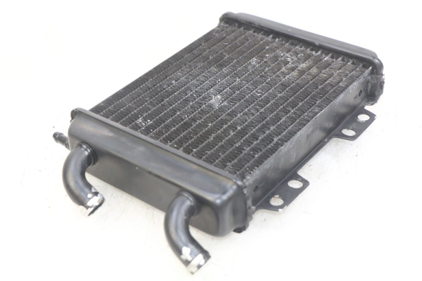 photo de RADIATOR PEUGEOT ELYSEO 125 (1999 - 2004) - Alternative perspective