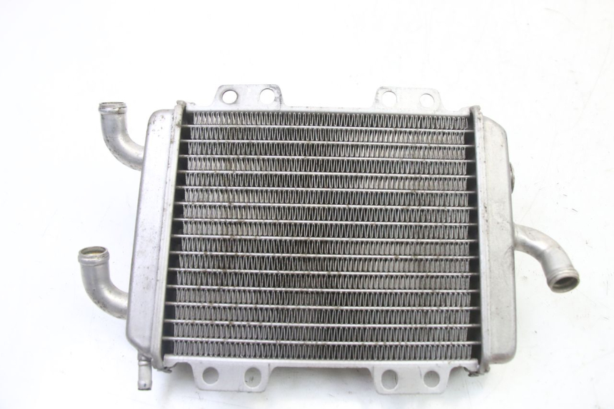 photo de RADIATOR PEUGEOT ELYSEO 125 (1999 - 2004) - Main view