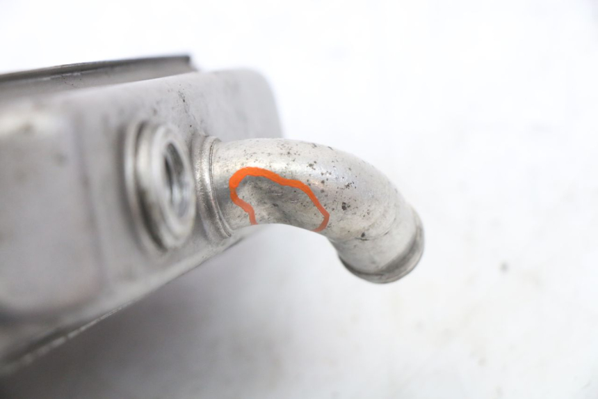 photo de RADIATOR PEUGEOT ELYSEO 125 (1999 - 2004) - Product overview