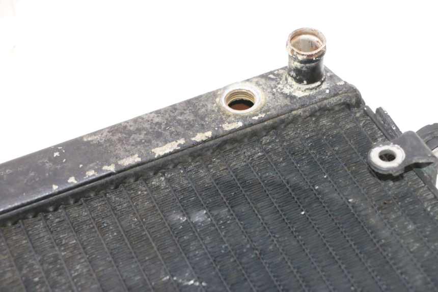 photo de RADIATOR HONDA FES PANTHEON 2T 125 (1998 - 2002) - Component detail