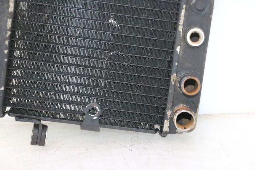 photo de RADIATOR HONDA FES PANTHEON 2T 125 (1998 - 2002) - Checked used part