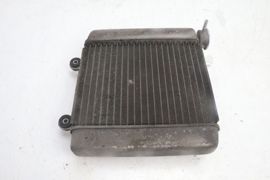 photo de COOLANT RADIATOR HONDA FES PANTHEON 125 (2003 - 2007) - Product overview