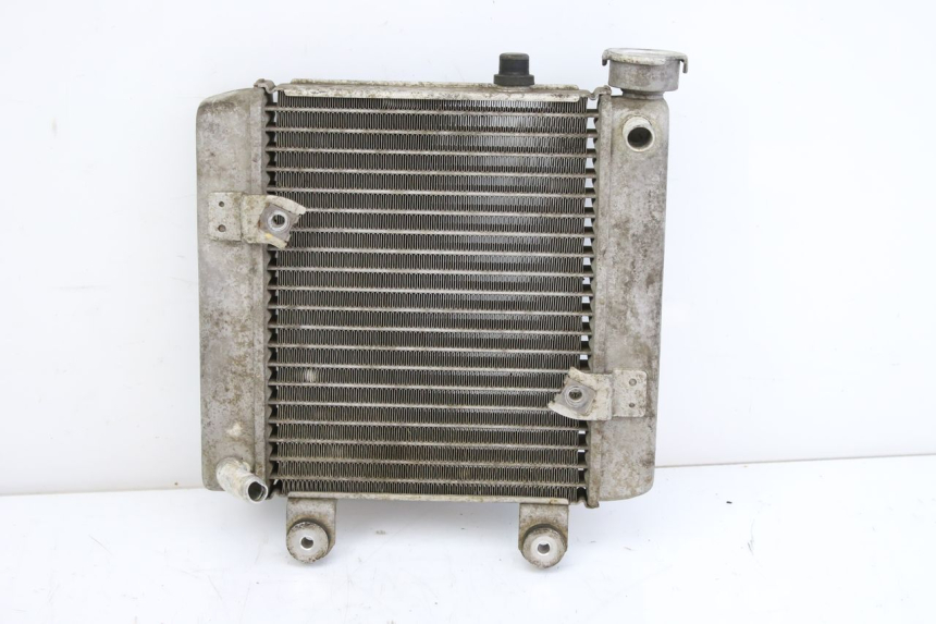 photo de RADIATOR HONDA FES S-WING SWING ABS 125 (2007 - 2015) - Main view