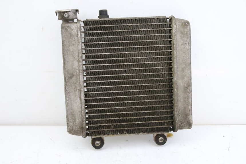 photo de RADIATOR HONDA FES S-WING SWING ABS 125 (2007 - 2015) - Component detail