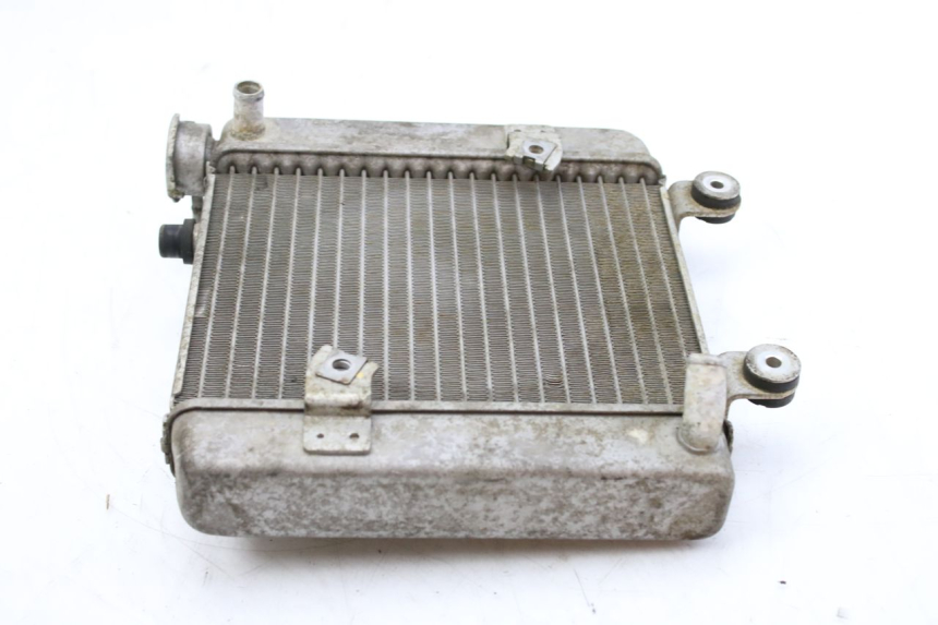 photo de RADIATOR HONDA FES S-WING SWING ABS 125 (2007 - 2015) - Zoom on usage condition