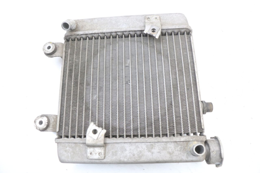 photo de RADIATOR HONDA FES S-WING SWING ABS 125 (2007 - 2015) - Main view