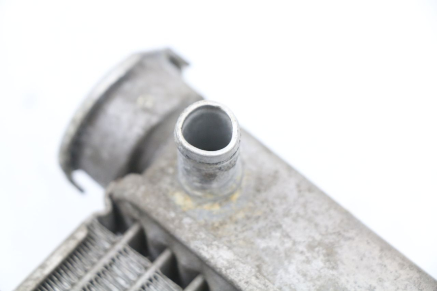 photo de RADIATOR HONDA FES S-WING SWING ABS 125 (2007 - 2015) - Product overview