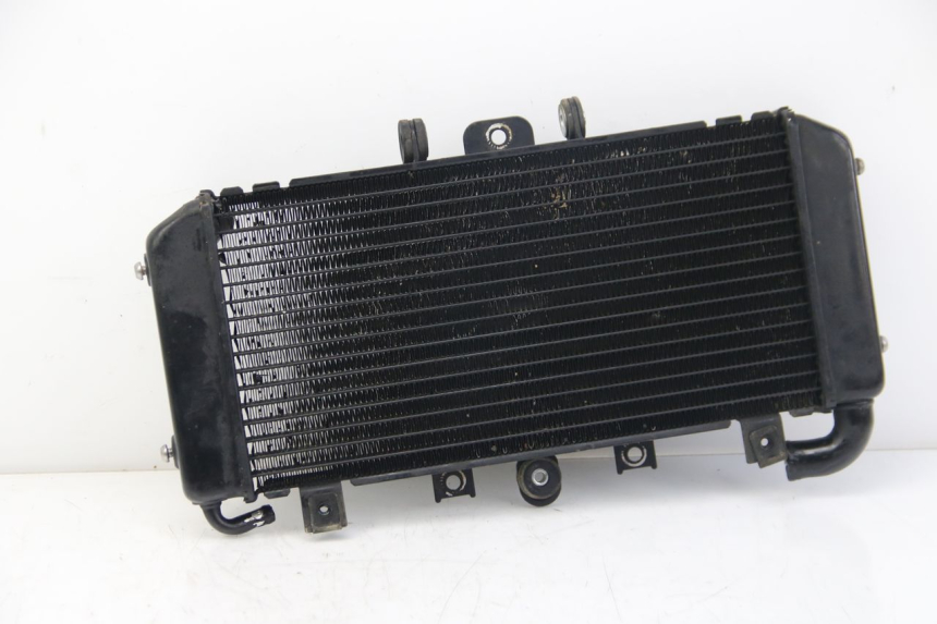 photo de COOLANT RADIATOR YAMAHA FZS FAZER 600 (2001 - 2003) - Main view