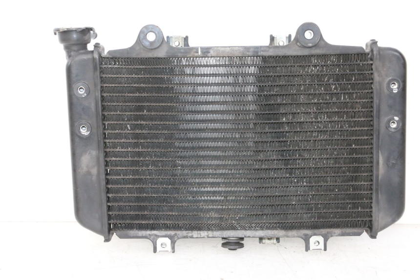 photo de COOLANT RADIATOR BMW G310 R 310 (2016 - 2020) - Main view