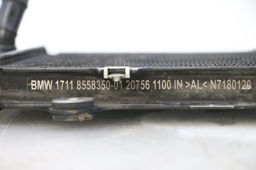 photo de COOLANT RADIATOR BMW G310 R 310 (2016 - 2020) - Alternative perspective