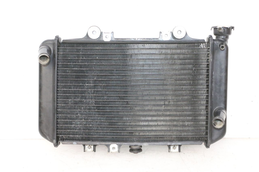 photo de COOLANT RADIATOR BMW G310 R 310 (2016 - 2020) - Surface and material condition