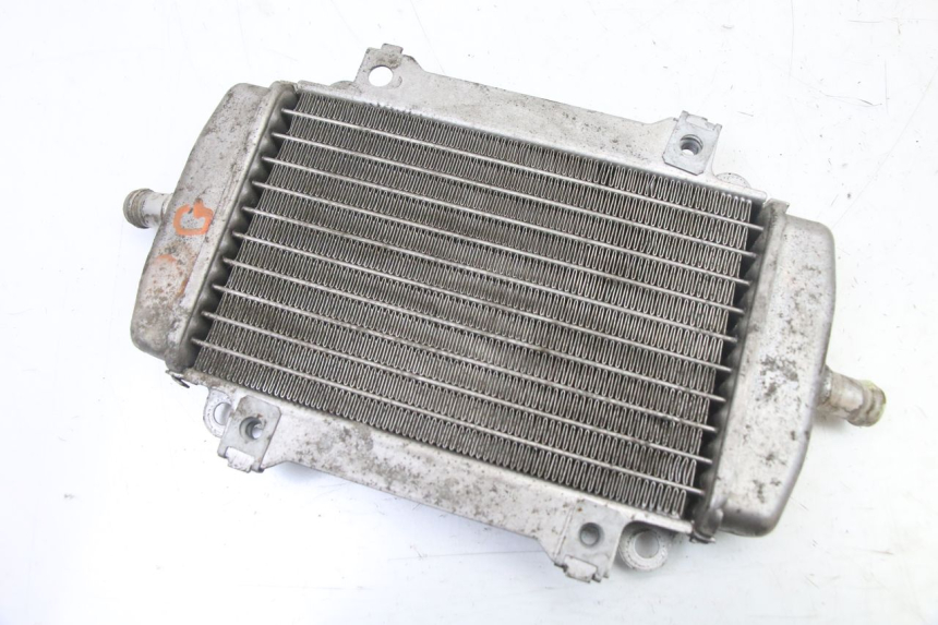 photo de LEFT COOLANT RADIATOR PIAGGIO VESPA GRANTURISMO 125 (2003 - 2007) - Main view