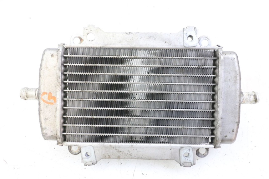 photo de LEFT COOLANT RADIATOR PIAGGIO VESPA GRANTURISMO 200 (2004 - 2005) - Main view