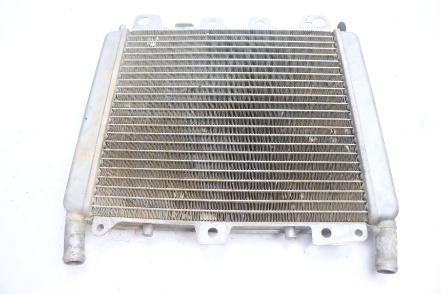 photo de LEFT COOLANT RADIATOR BOOM TRIKE FUN 500 (2004 - 2010) - Main view