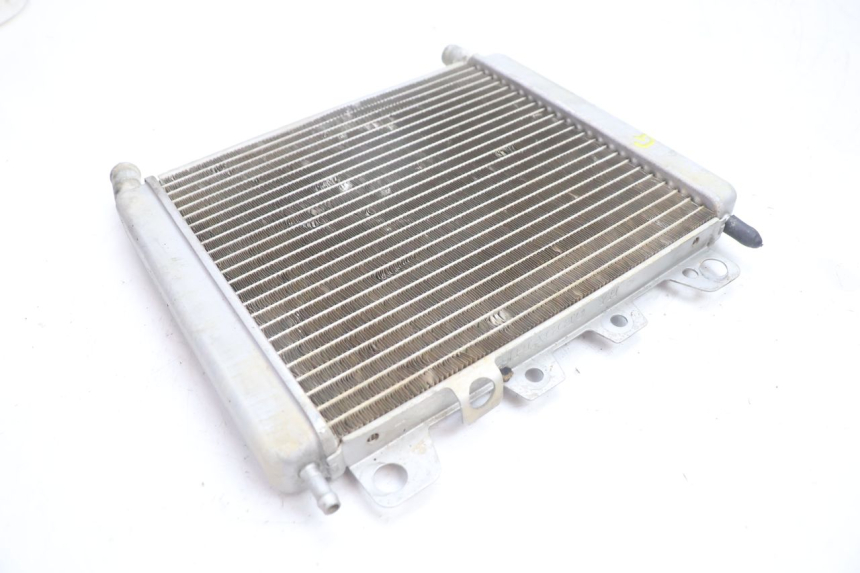 photo de LEFT COOLANT RADIATOR BOOM TRIKE FUN 500 (2004 - 2010) - Distinctive features