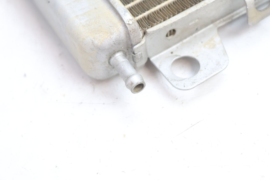 photo de LEFT COOLANT RADIATOR BOOM TRIKE FUN 500 (2004 - 2010) - Component zoom