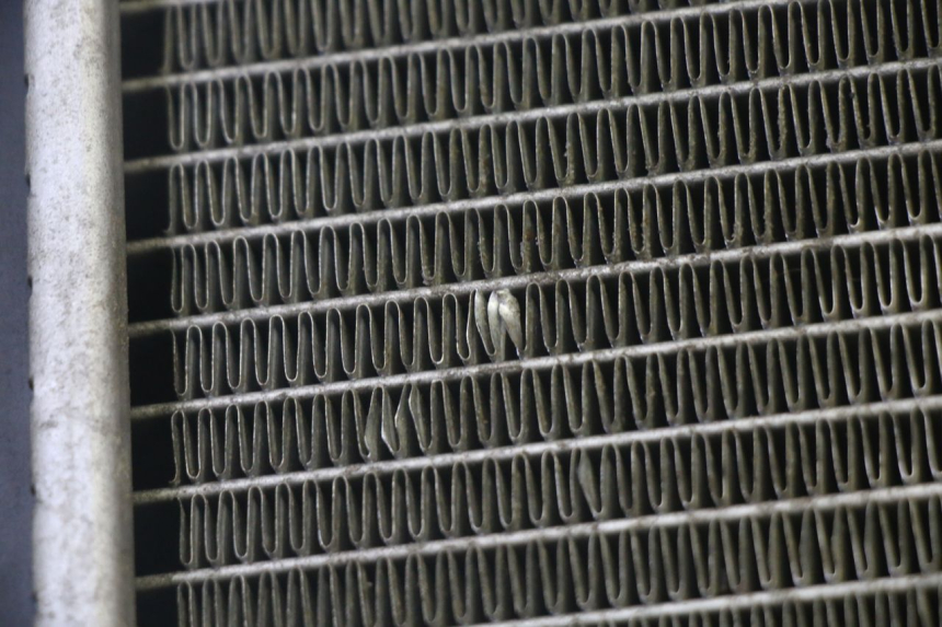 photo de COOLANT RADIATOR KYMCO GRAND DINK 125 (2002 - 2007) - Alternative perspective