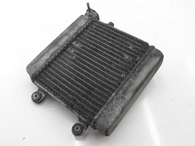 photo de COOLANT RADIATOR HONDA FES PANTHEON 125 (2003 - 2007) - Alternative perspective