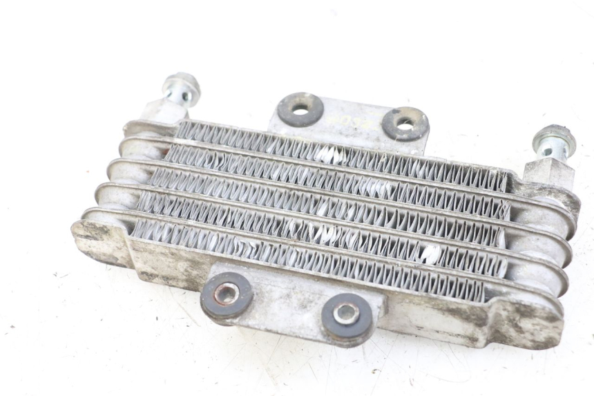 photo de OIL RADIATOR HYOSUNG GV AQUILA 125 (2000 - 2009) - Zoom on usage condition