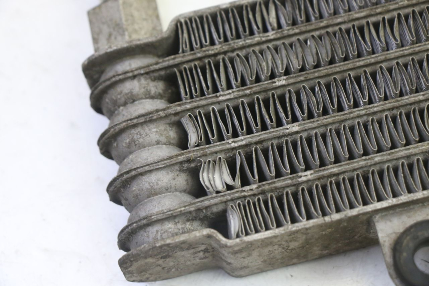 photo de OIL RADIATOR HYOSUNG GV AQUILA 125 (2000 - 2009) - Surface and material condition