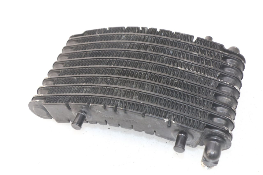 photo de OIL RADIATOR MV AGUSTA BRUTALE R WALLY 910 (2008 - 2008) - Alternative perspective