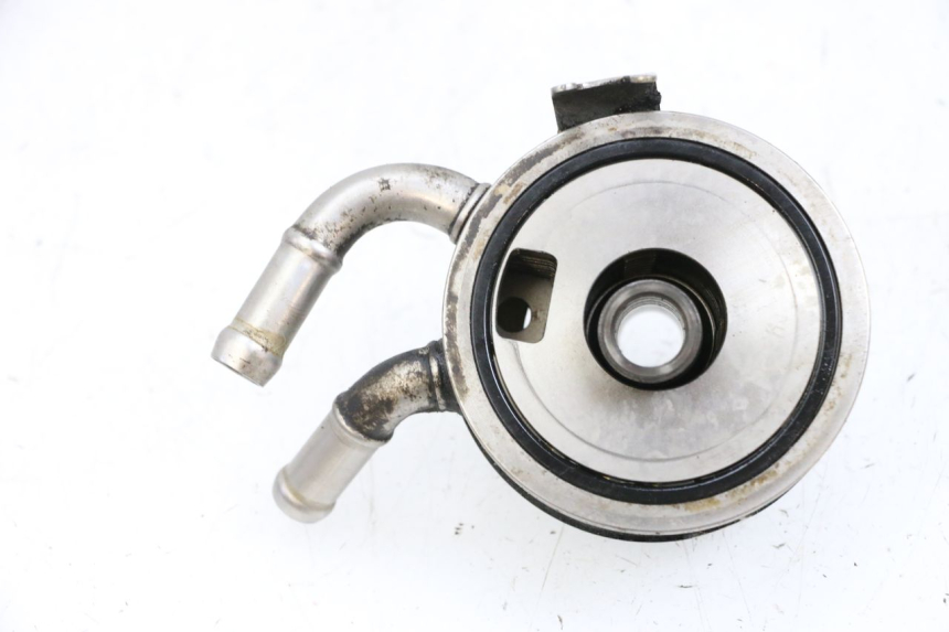 photo de OIL RADIATOR SUZUKI BURGMAN EXECUTIVE ABS 650 (2006 - 2012) - Alternative perspective