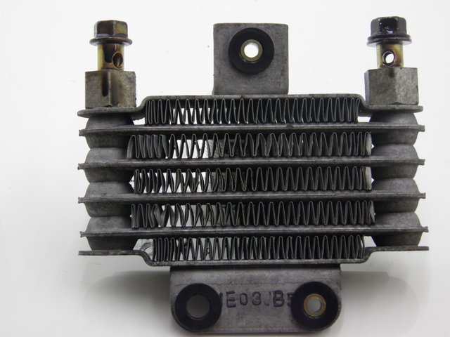 photo de OIL RADIATOR DAELIM S2 125 (2008) - Main view