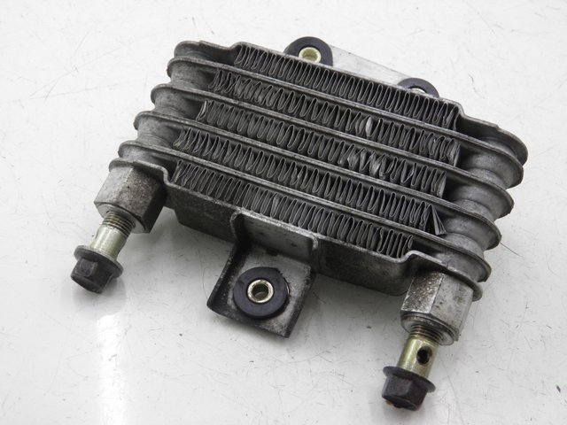 photo de OIL RADIATOR DAELIM VJ ROADWIN 125 (2008 - 2010) - Main view