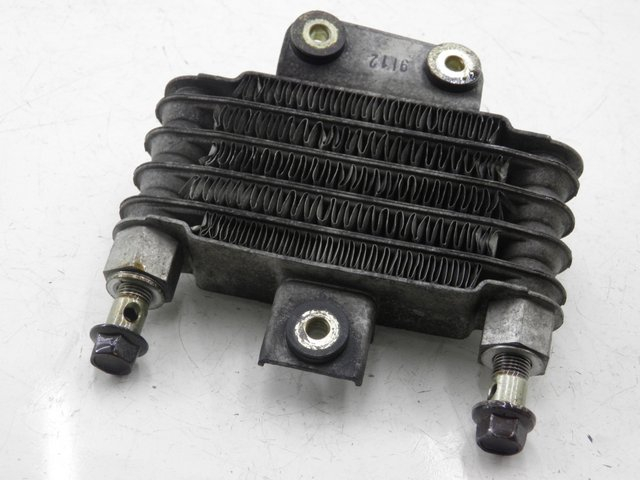 photo de OIL RADIATOR DAELIM VJ ROADWIN 125 (2008 - 2010) - Component detail