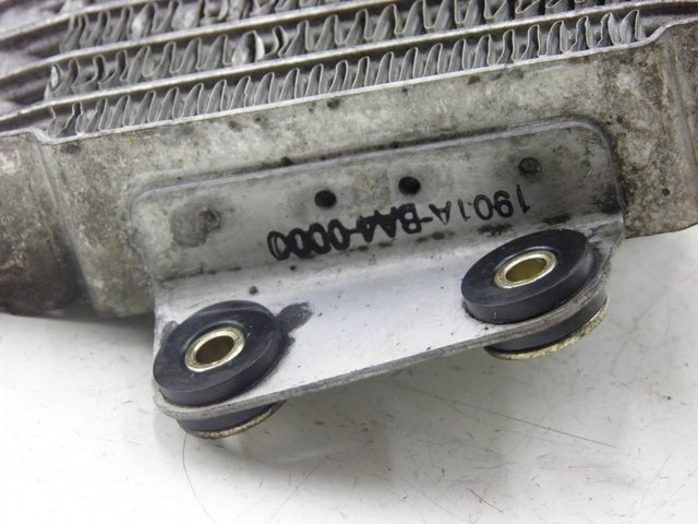 photo de OIL RADIATOR DAELIM VJ ROADWIN 125 (2008 - 2010) - Alternative perspective