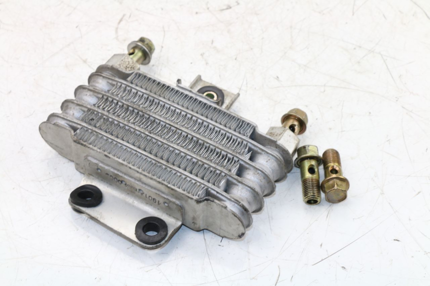 photo de OIL RADIATOR DAELIM VJ ROADWIN 125 (2004 - 2007) - Main view