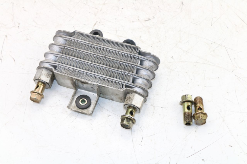 photo de OIL RADIATOR DAELIM VJ ROADWIN 125 (2004 - 2007) - Surface and material condition