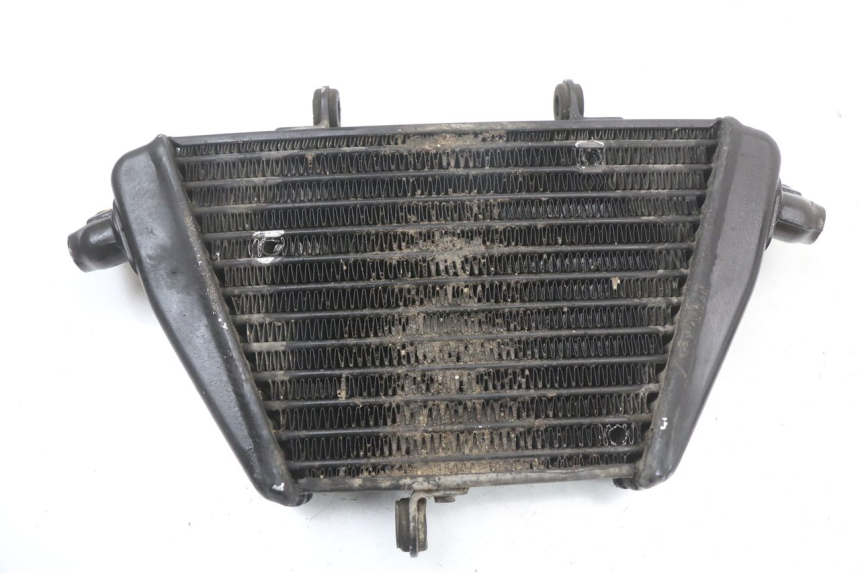 photo de OIL RADIATOR MOTO GUZZI NORGE 8V GT 1200 (2011 - 2016) - Alternative perspective