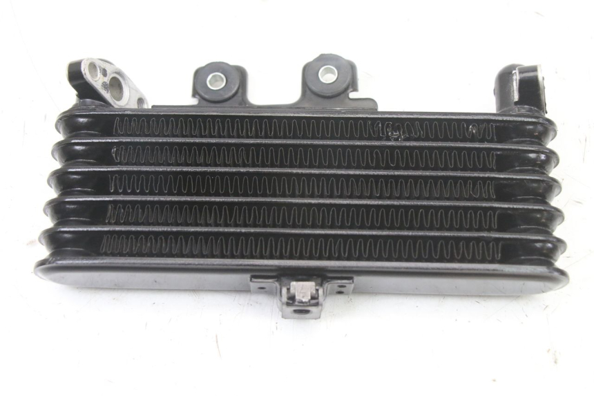 photo de OIL RADIATOR ROYAL ENFIELD HYMALAYAN 410 (2016 - 2023) - Zoom on usage condition