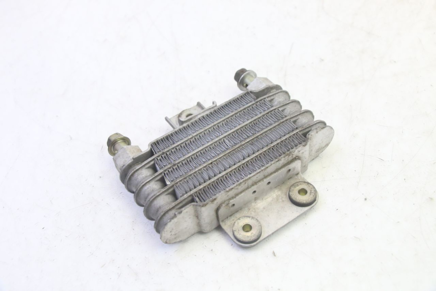 photo de OIL RADIATOR DAELIM S1 125 (2007 - 2016) - Zoom on usage condition