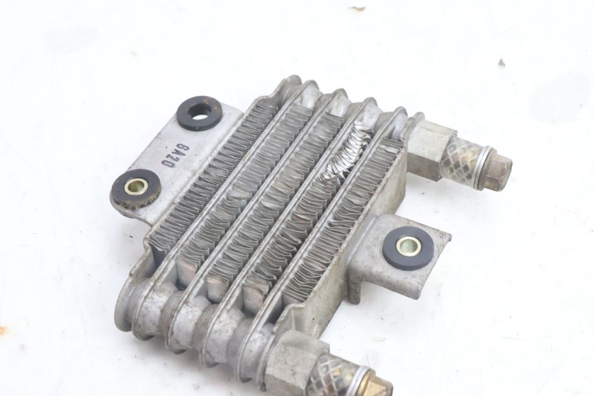 photo de OIL RADIATOR DAELIM S2 125 (2006 - 2007) - Zoom on usage condition