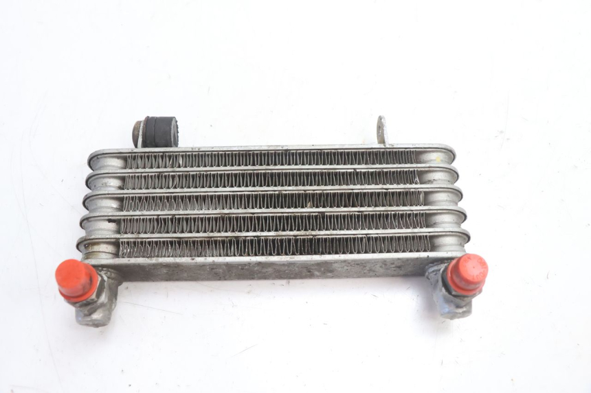 photo de OIL RADIATOR DUCATI SS IE DS CARENEE 1000 (2002 - 2006) - Main view