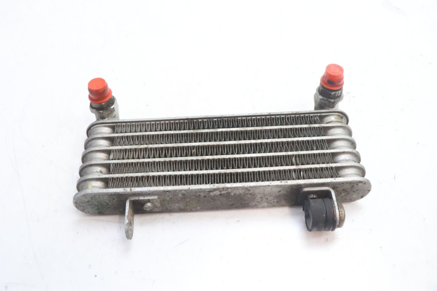 photo de OIL RADIATOR DUCATI SS IE DS CARENEE 1000 (2002 - 2006) - Component detail