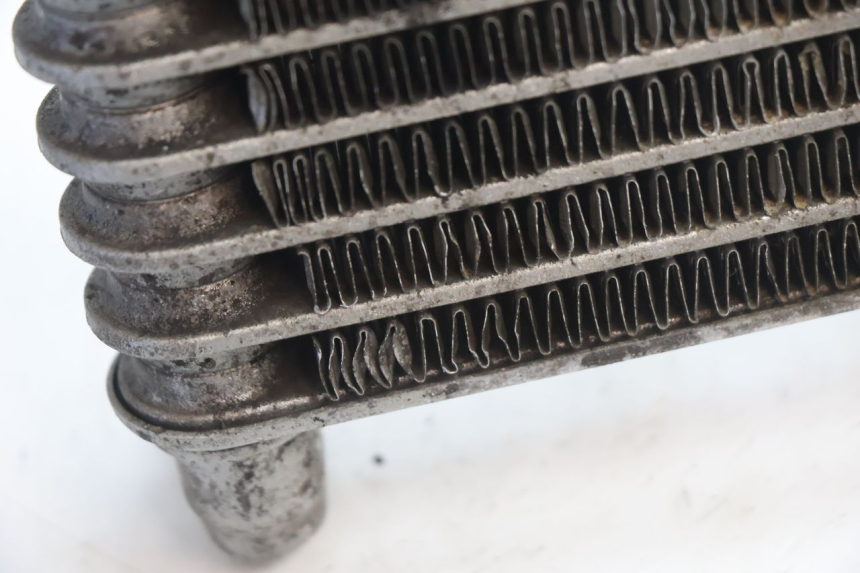 photo de OIL RADIATOR DUCATI SS IE DS CARENEE 1000 (2002 - 2006) - Alternative perspective