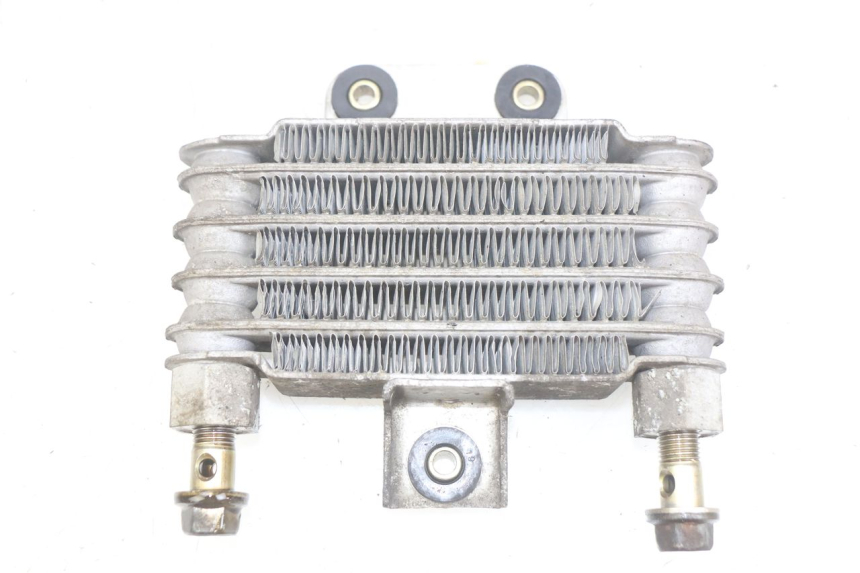 photo de OIL COOLER DAELIM VJ ROADWIN FI 125 (2008 - 2017) - Main view