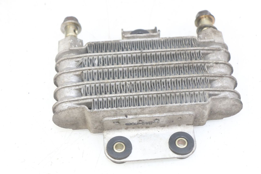 photo de OIL COOLER DAELIM VJ ROADWIN FI 125 (2008 - 2017) - Zoom on usage condition