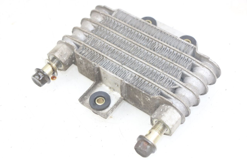 photo de OIL COOLER DAELIM VJ ROADWIN FI 125 (2008 - 2017) - Alternative perspective