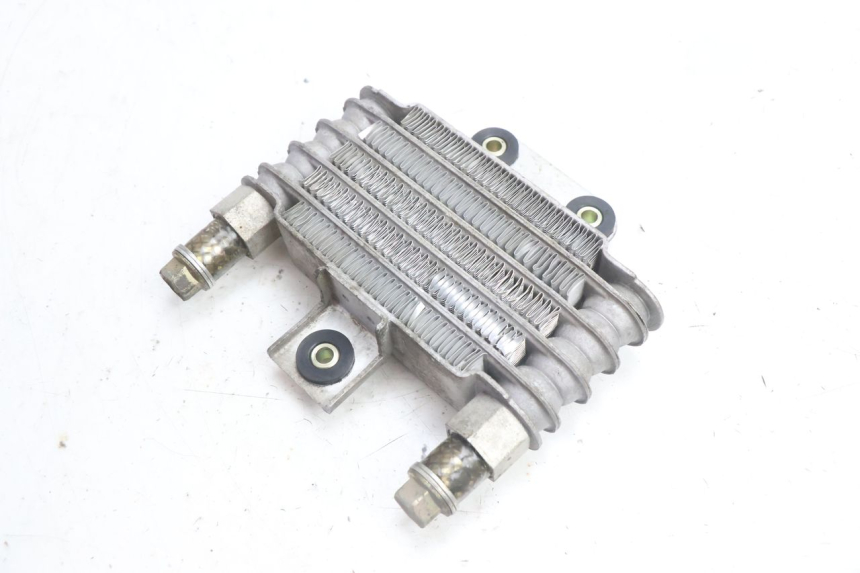 photo de OIL RADIATOR DAELIM VJ ROADWIN 125 (2004 - 2007) - Zoom on usage condition