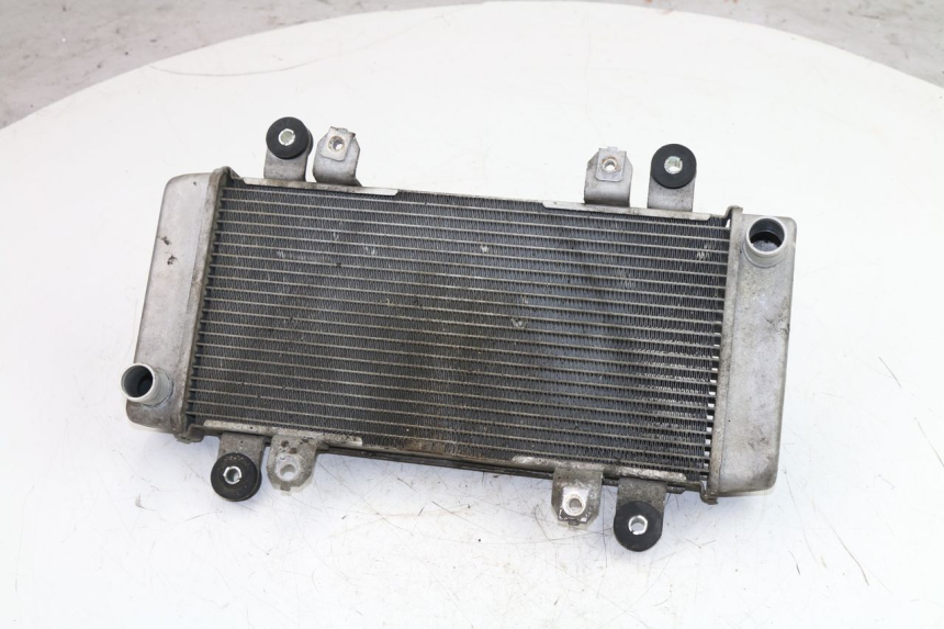 photo de COOLANT RADIATOR KAWASAKI NINJA 300 (2012 - 2017) - Main view