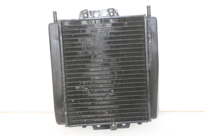 photo de RADIATOR PIAGGIO MP3 LT 300 (2010 - 2016) - Main view