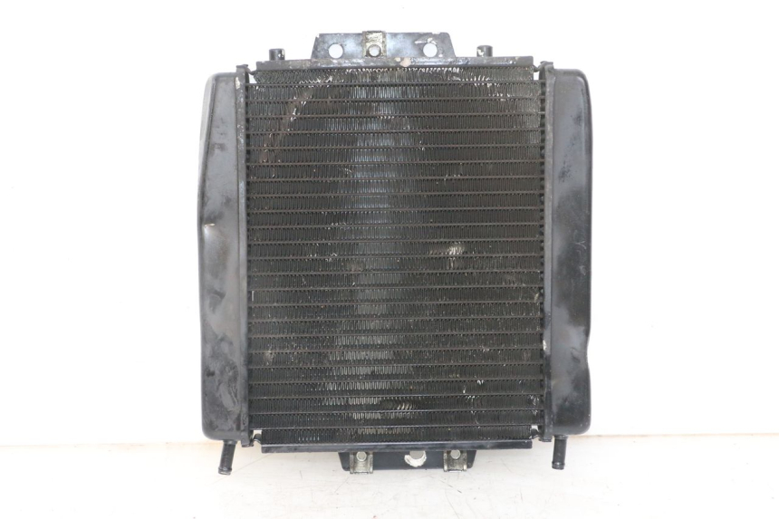photo de RADIATOR PIAGGIO MP3 LT 400 (2007 - 2012) - Main view