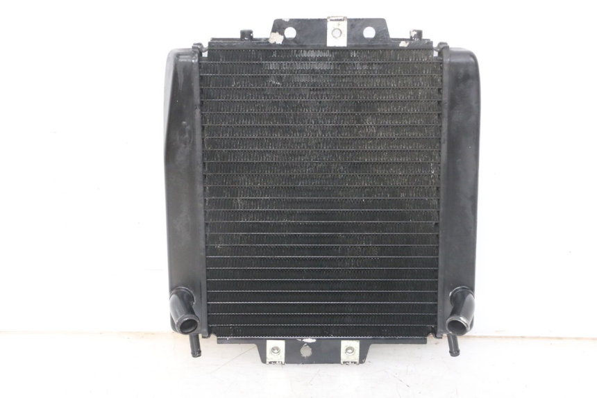 photo de RADIATOR PIAGGIO MP3 LT 400 (2007 - 2012) - Additional view of the item