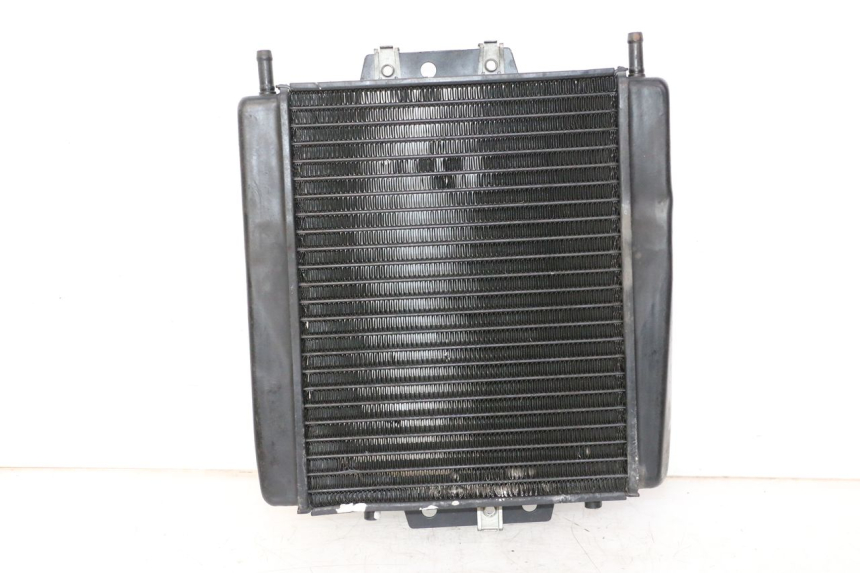 photo de COOLANT RADIATOR PIAGGIO MP3 LT 300 (2010 - 2016) - Main view